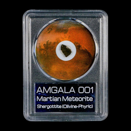 Mars Rock Martian Meteorite Amgala 001 Shergottite Olivine-Phyric COA And Display
