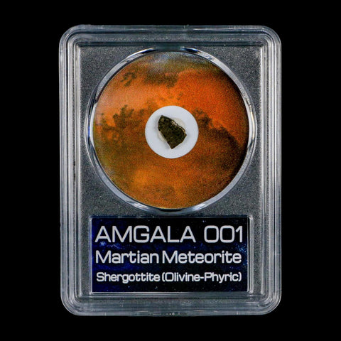 Mars Rock Martian Meteorite Amgala 001 Shergottite Olivine-Phyric COA And Display