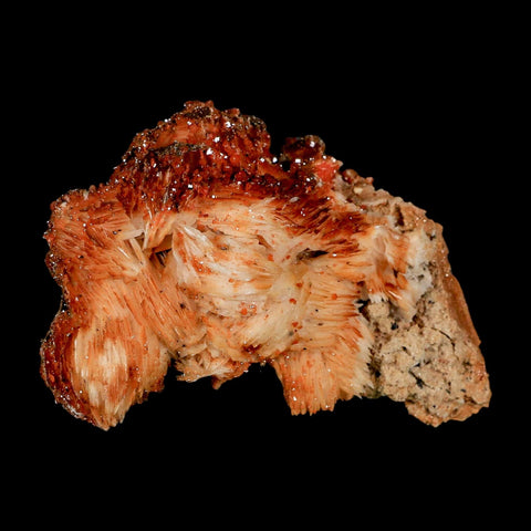 3.3" Sparkly Orange Vanadinite Crystals Orange Barite Blades Mineral Mabladen Morocco - Fossil Age Minerals