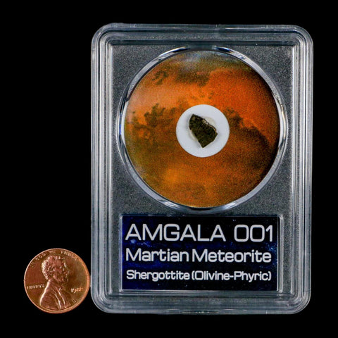 Mars Rock Martian Meteorite Amgala 001 Shergottite Olivine-Phyric COA And Display