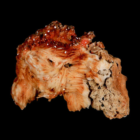 3.3" Sparkly Orange Vanadinite Crystals Orange Barite Blades Mineral Mabladen Morocco - Fossil Age Minerals