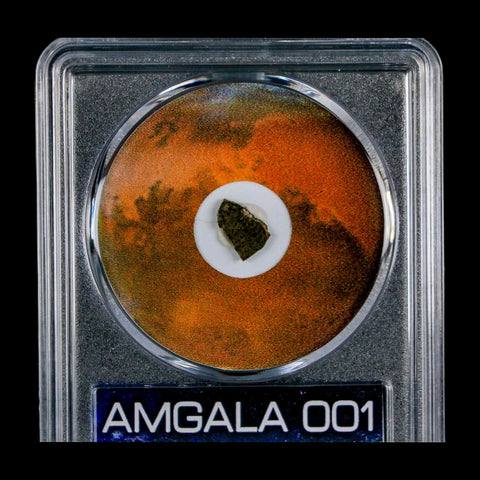 Mars Rock Martian Meteorite Amgala 001 Shergottite Olivine-Phyric COA And Display