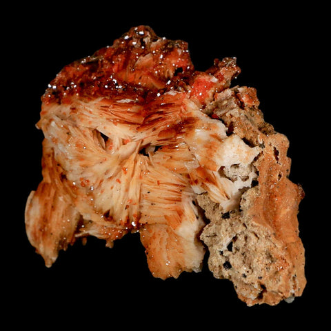 3.3" Sparkly Orange Vanadinite Crystals Orange Barite Blades Mineral Mabladen Morocco - Fossil Age Minerals