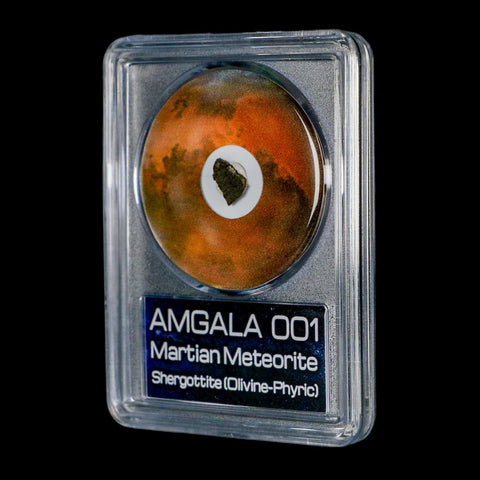 Mars Rock Martian Meteorite Amgala 001 Shergottite Olivine-Phyric COA And Display