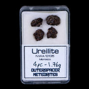 Ureilite NWA 13135 Meteorite Specimen Display Morocco Sahara Desert 1.76 Grams