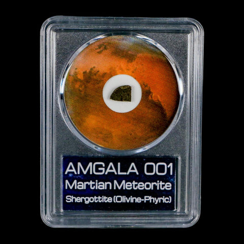Mars Rock Martian Meteorite Amgala 001 Shergottite Olivine-Phyric COA And Display - Fossil Age Minerals