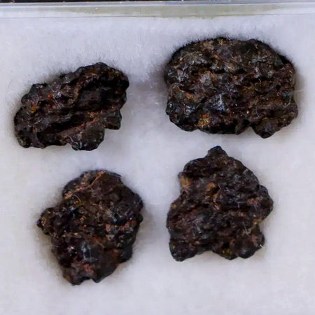 Ureilite NWA 13135 Meteorite Specimen Display Morocco Sahara Desert 1.76 Grams