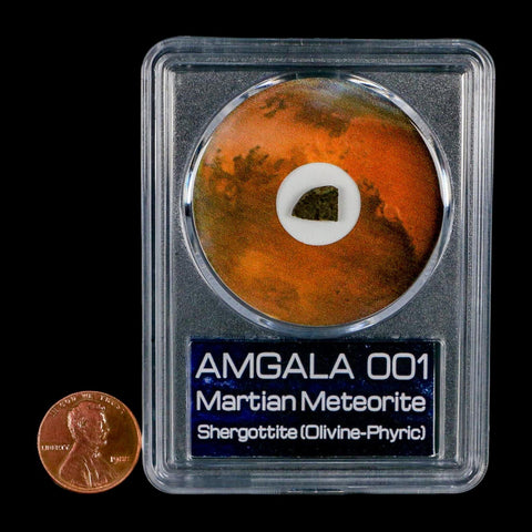 Mars Rock Martian Meteorite Amgala 001 Shergottite Olivine-Phyric COA And Display - Fossil Age Minerals