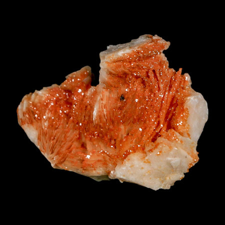 1.8" Sparkly Orange Vanadinite Crystals Orange Barite Blades Mineral Mabladen Morocco