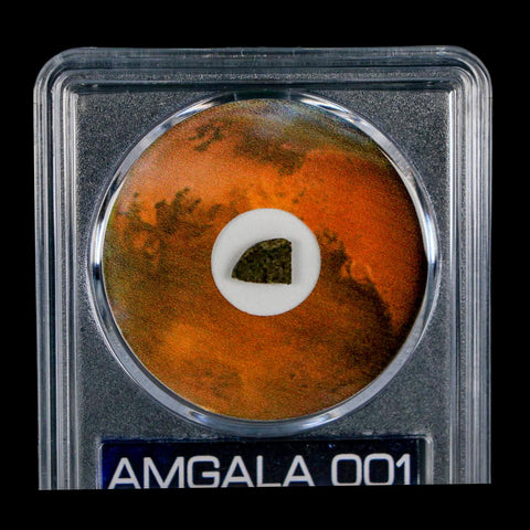 Mars Rock Martian Meteorite Amgala 001 Shergottite Olivine-Phyric COA And Display - Fossil Age Minerals