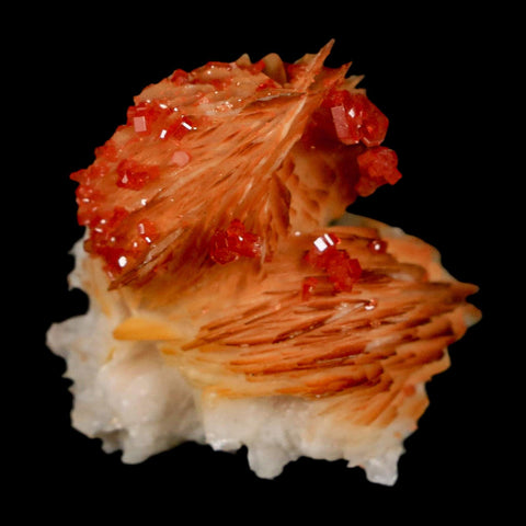 1.3" Sparkly Orange Vanadinite Crystals Orange Barite Blades Mineral Mabladen Morocco - Fossil Age Minerals