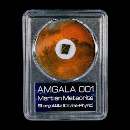 Mars Rock Martian Meteorite Amgala 001 Shergottite Olivine-Phyric COA And Display