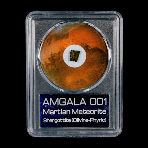 Mars Rock Martian Meteorite Amgala 001 Shergottite Olivine-Phyric COA And Display