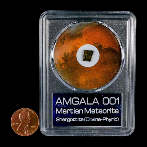 Mars Rock Martian Meteorite Amgala 001 Shergottite Olivine-Phyric COA And Display