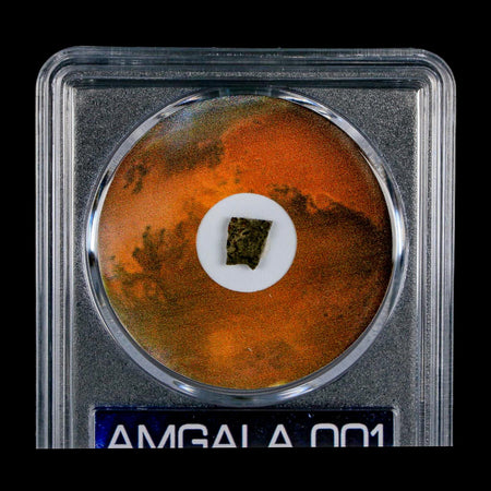 Mars Rock Martian Meteorite Amgala 001 Shergottite Olivine-Phyric COA And Display