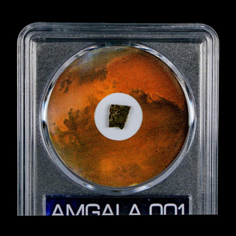 Mars Rock Martian Meteorite Amgala 001 Shergottite Olivine-Phyric COA And Display