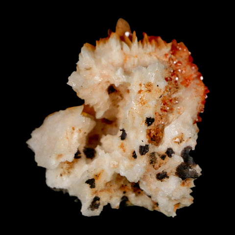 1.3" Sparkly Orange Vanadinite Crystals Orange Barite Blades Mineral Mabladen Morocco - Fossil Age Minerals