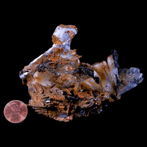 4.1" Ice Blue Barite Blades Crystal Mineral Specimen Mabladen Morocco 12.9 OZ - Fossil Age Minerals