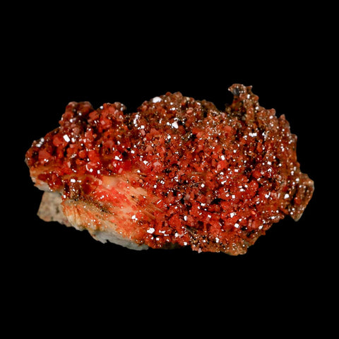 3.2" Sparkly Orange Vanadinite Crystals Orange Barite Blades Mineral Mabladen Morocco - Fossil Age Minerals