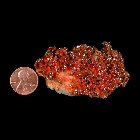 3.2" Sparkly Orange Vanadinite Crystals Orange Barite Blades Mineral Mabladen Morocco - Fossil Age Minerals