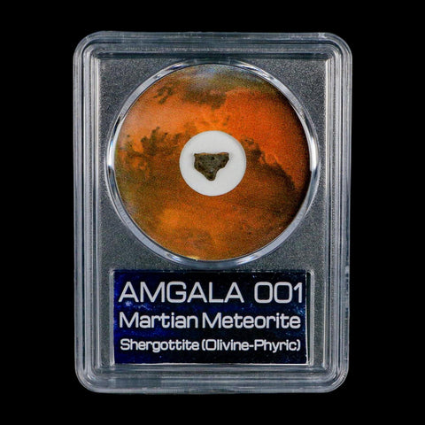 Mars Rock Martian Meteorite Amgala 001 Shergottite Olivine-Phyric COA And Display