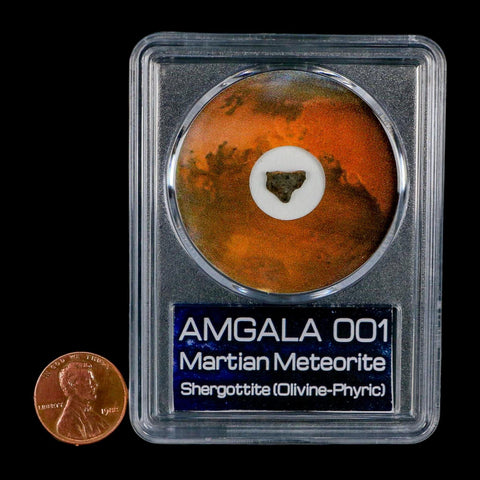Mars Rock Martian Meteorite Amgala 001 Shergottite Olivine-Phyric COA And Display