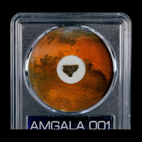 Mars Rock Martian Meteorite Amgala 001 Shergottite Olivine-Phyric COA And Display