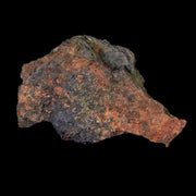 Bendege Meteorite Specimen Display Bendege Bahia Brazil 2.44 Grams