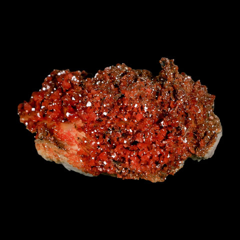 3.2" Sparkly Orange Vanadinite Crystals Orange Barite Blades Mineral Mabladen Morocco - Fossil Age Minerals