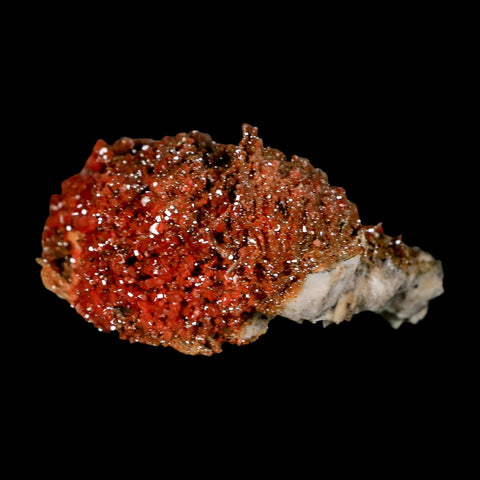 3.2" Sparkly Orange Vanadinite Crystals Orange Barite Blades Mineral Mabladen Morocco - Fossil Age Minerals