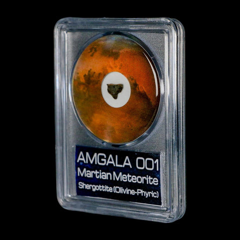 Mars Rock Martian Meteorite Amgala 001 Shergottite Olivine-Phyric COA And Display
