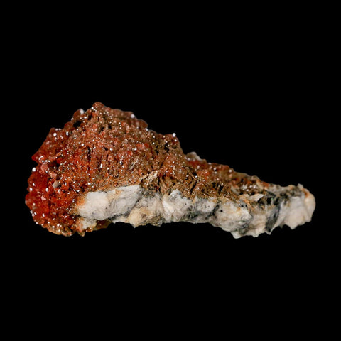 3.2" Sparkly Orange Vanadinite Crystals Orange Barite Blades Mineral Mabladen Morocco - Fossil Age Minerals