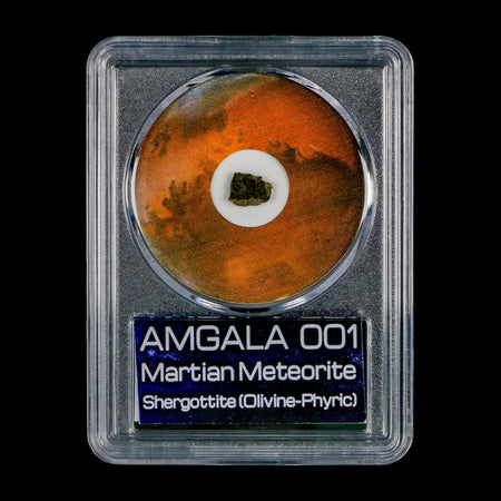 Mars Rock Martian Meteorite Amgala 001 Shergottite Olivine-Phyric COA And Display