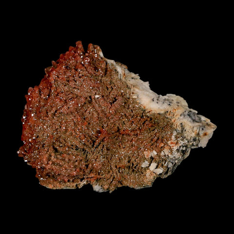 3.2" Sparkly Orange Vanadinite Crystals Orange Barite Blades Mineral Mabladen Morocco - Fossil Age Minerals