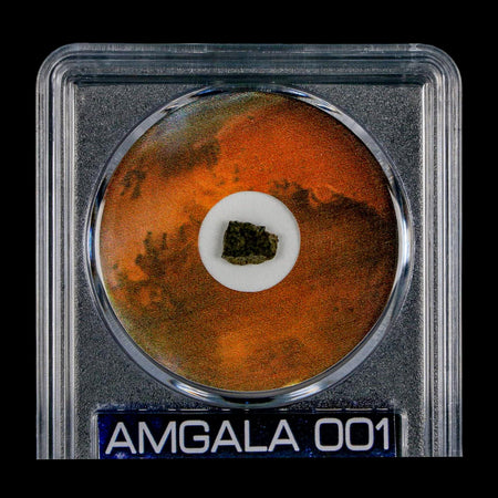 Mars Rock Martian Meteorite Amgala 001 Shergottite Olivine-Phyric COA And Display