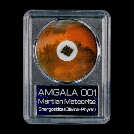 Mars Rock Martian Meteorite Amgala 001 Shergottite Olivine-Phyric COA And Display