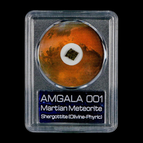 Mars Rock Martian Meteorite Amgala 001 Shergottite Olivine-Phyric COA And Display