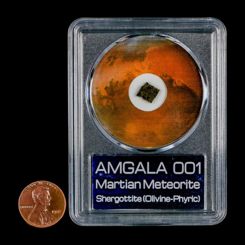 Mars Rock Martian Meteorite Amgala 001 Shergottite Olivine-Phyric COA And Display