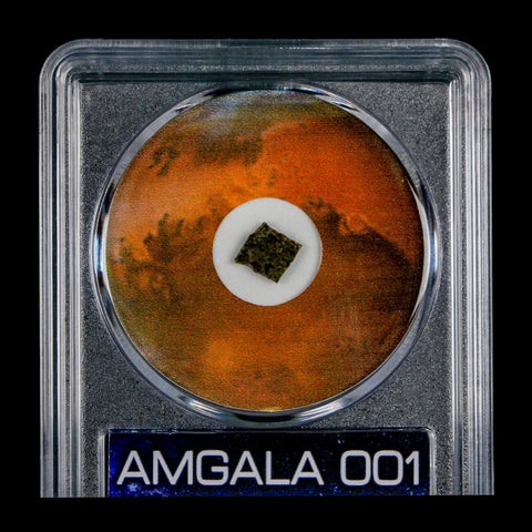 Mars Rock Martian Meteorite Amgala 001 Shergottite Olivine-Phyric COA And Display
