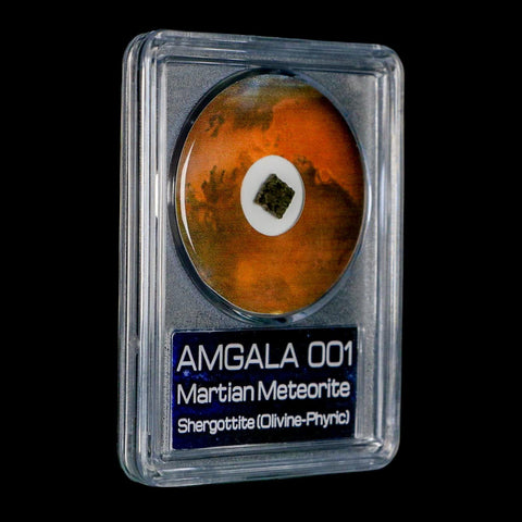 Mars Rock Martian Meteorite Amgala 001 Shergottite Olivine-Phyric COA And Display