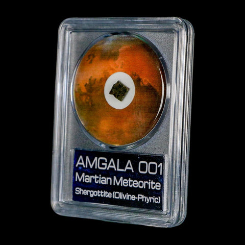 Mars Rock Martian Meteorite Amgala 001 Shergottite Olivine-Phyric COA And Display