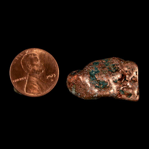 1.1" Solid Native Copper Polished Nugget Mineral Keweenaw Michigan - Fossil Age Minerals