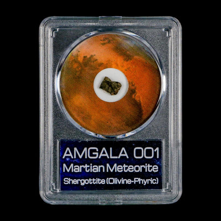Mars Rock Martian Meteorite Amgala 001 Shergottite Olivine-Phyric COA And Display