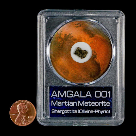 Mars Rock Martian Meteorite Amgala 001 Shergottite Olivine-Phyric COA And Display
