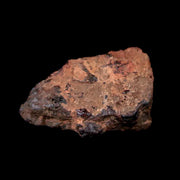 Wolf Creek Meteorite Western Australia Iron, IIIAB (Shale) Found In 1947 Display