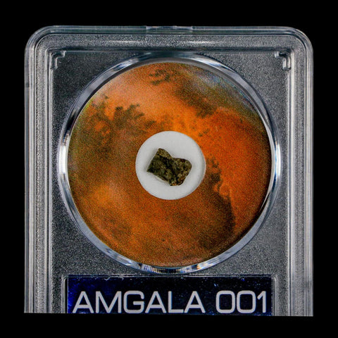 Mars Rock Martian Meteorite Amgala 001 Shergottite Olivine-Phyric COA And Display