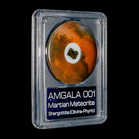 Mars Rock Martian Meteorite Amgala 001 Shergottite Olivine-Phyric COA And Display