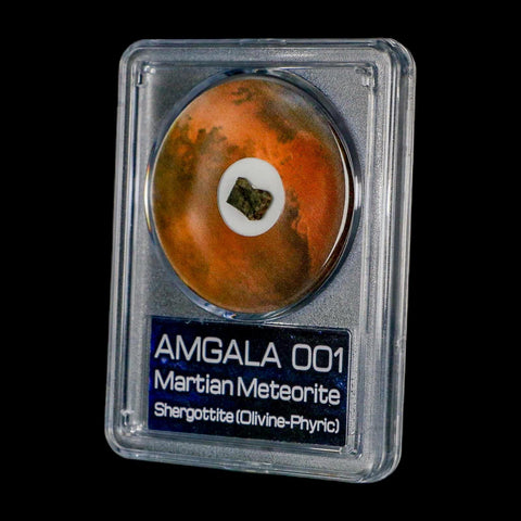 Mars Rock Martian Meteorite Amgala 001 Shergottite Olivine-Phyric COA And Display