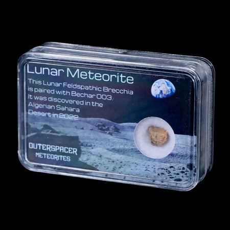 Moon Rock Moon Lunar Meteorite Bechar 003 Algerian Sahara Desert Discovered 2022
