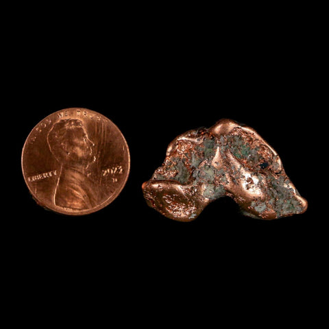 1.1" Solid Native Copper Polished Nugget Mineral Keweenaw Michigan - Fossil Age Minerals